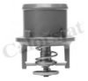 MWM 961087570144 Thermostat, coolant